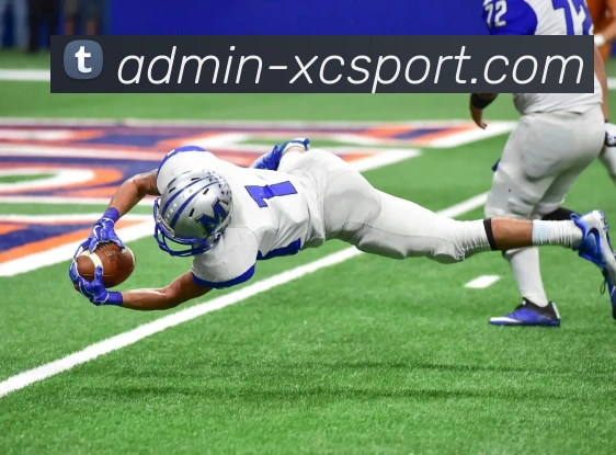 杏彩体育平台生态图