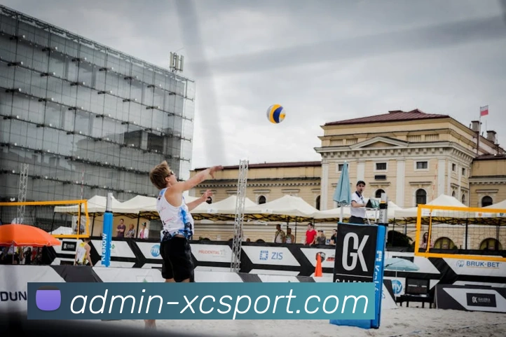 杏彩体育APP 封面图